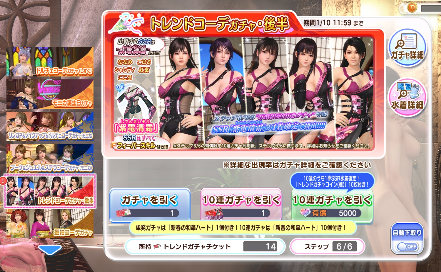 SSR水着「紫電清霜(しでんせいそう)」 DOAXVV