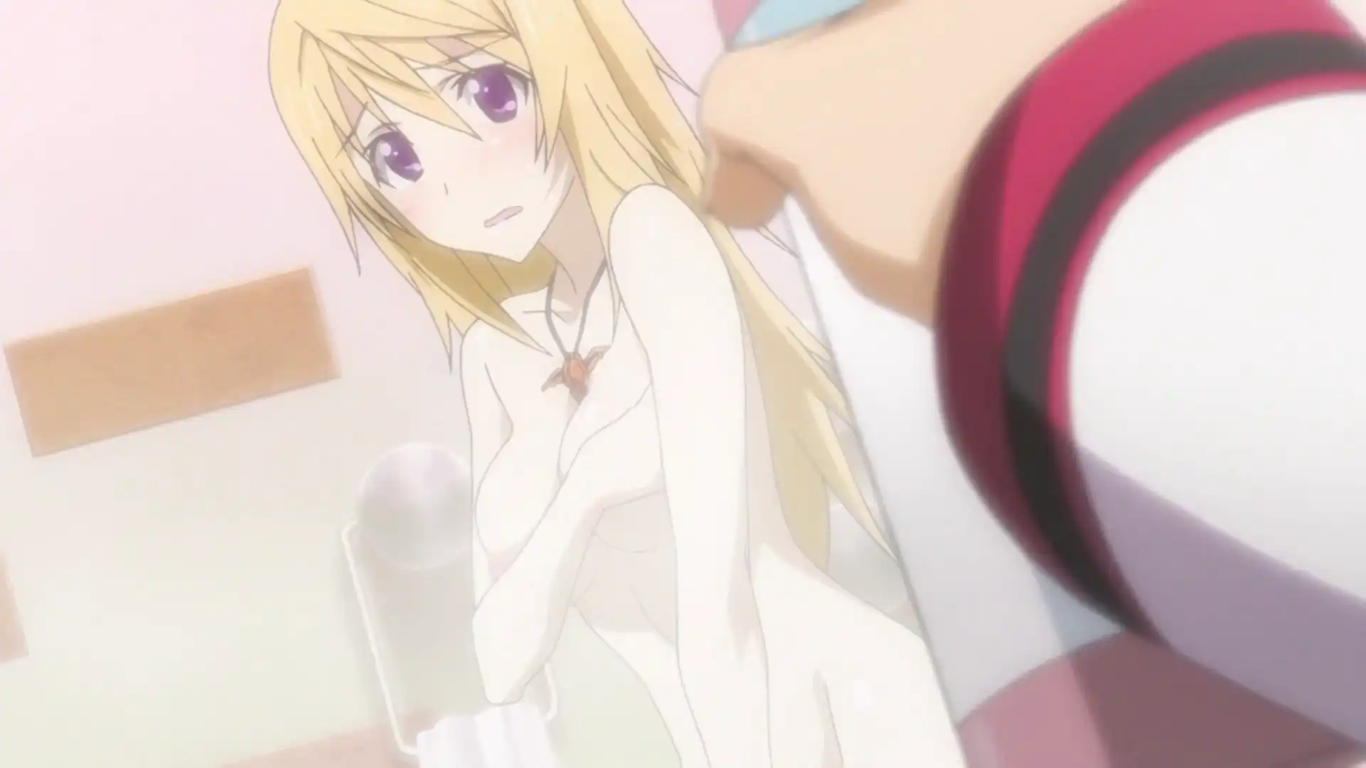 IS シャルロット シャルル 裸 エッチ